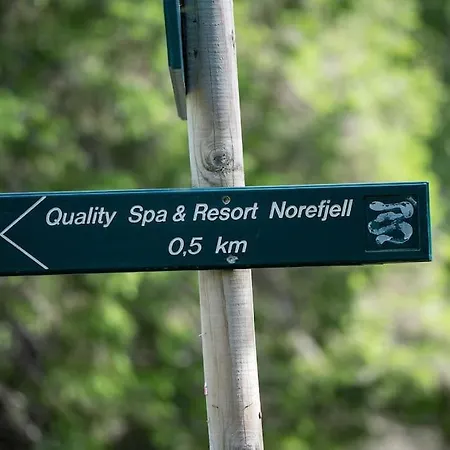 Chalet New, Modern, Cosy Hut Close To Norefjell &